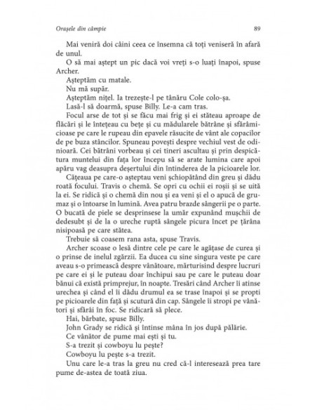 Oraşele din câmpie