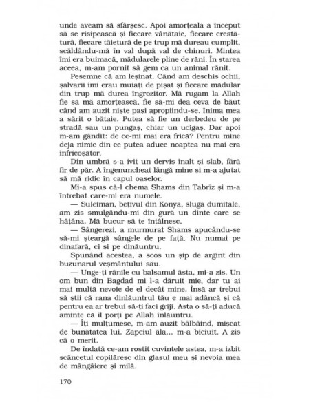 Cele patruzeci de legi ale iubirii