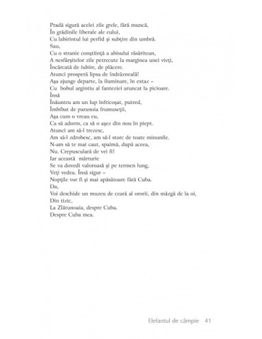 Elefantul de cîmpie