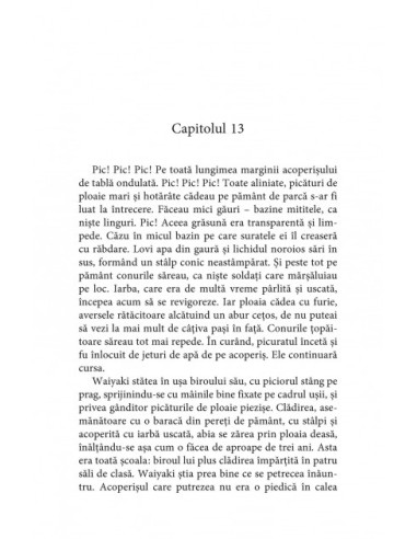 Râul care ne desparte