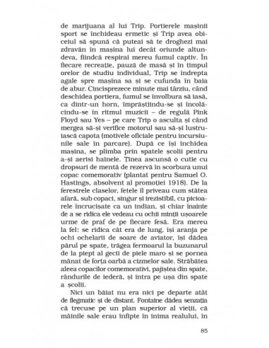 Sinuciderea fecioarelor