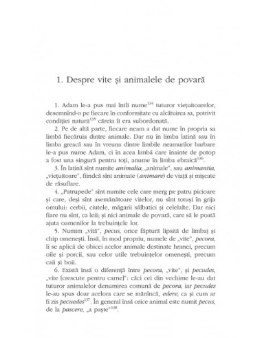 Etimologii XI-XII Etimologii XI-XII