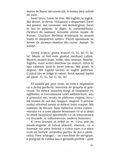 FEM (ediţia a II-a, de buzunar) FEM (ediţia a II-a, de buzunar)