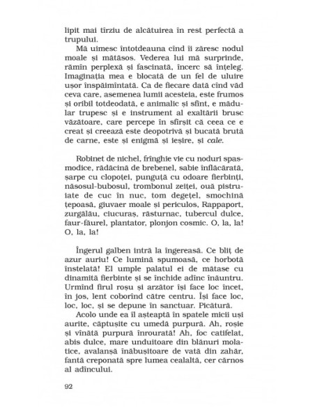 FEM (ediţia a II-a, de buzunar)