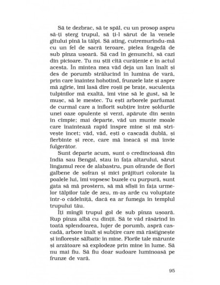 FEM (ediţia a II-a, de buzunar)