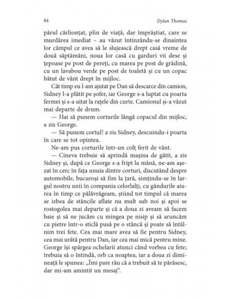 Portretul artistului ca tânăr câine