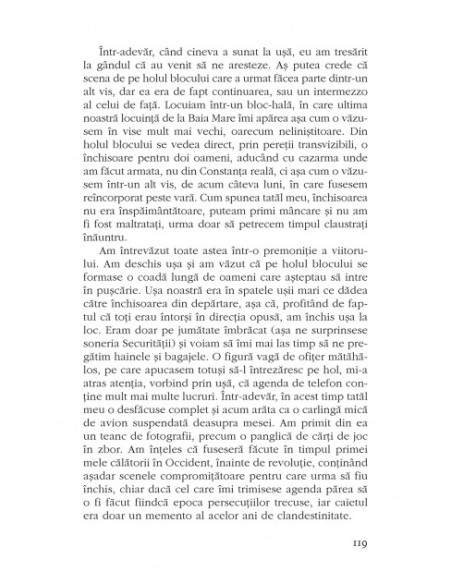 Acedia. Jurnal de vise