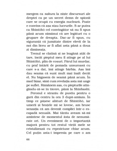 17 (ediţie de buzunar)