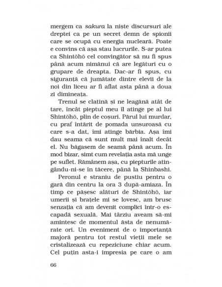 17 (ediţie de buzunar)