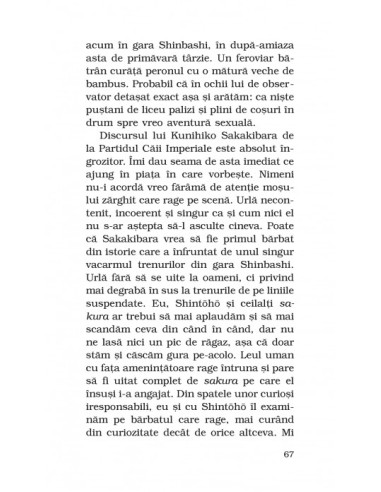 17 (ediţie de buzunar)