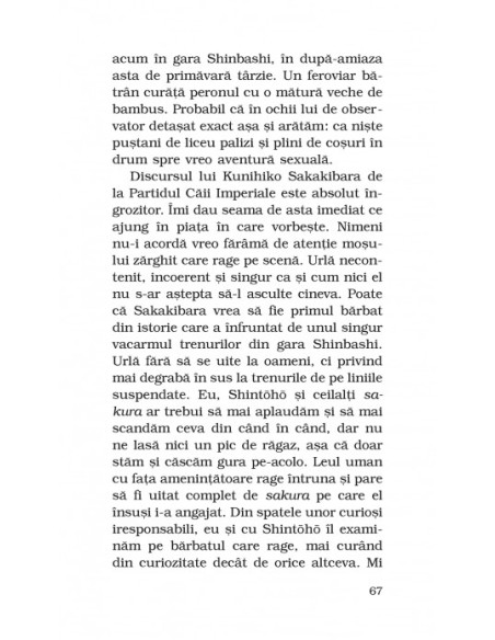 17 (ediţie de buzunar)