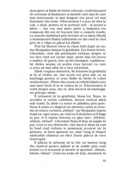 Strania poveste a lui Benjamin Button şi alte întâmplări din epoca jazzului 