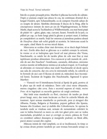 Viața lui Freud. Vol. I: Turnul nebunilor