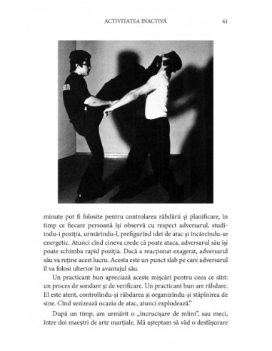 Zen în artele marţiale