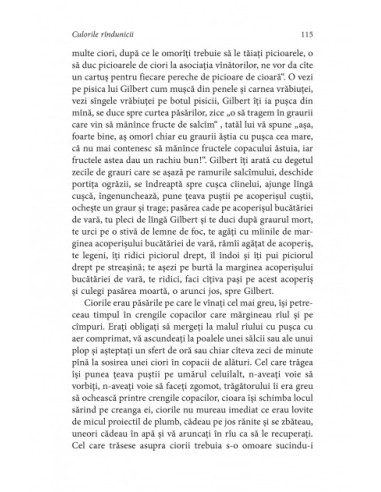 Culorile rândunicii