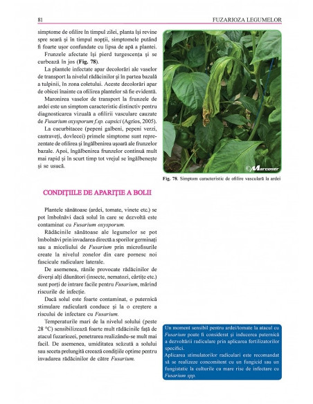 Grădina de legume. Ghid pentru combaterea bolilor şi dăunătorilor