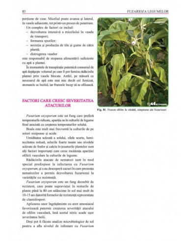 Grădina de legume. Ghid pentru...