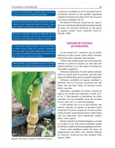 Grădina de legume. Ghid pentru...