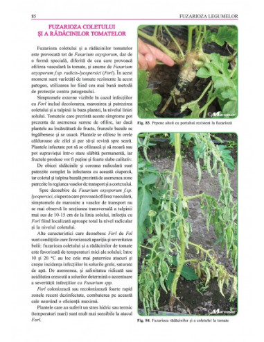 Grădina de legume. Ghid pentru...