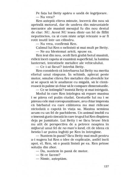 Negustorul de începuturi de roman