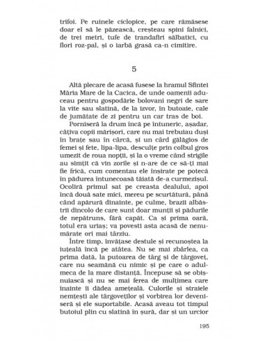 Când ne vom întoarce