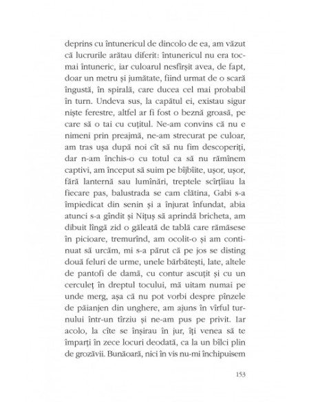 Toate bufnițele