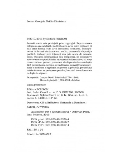 Autoportret într-o oglindă spartă 