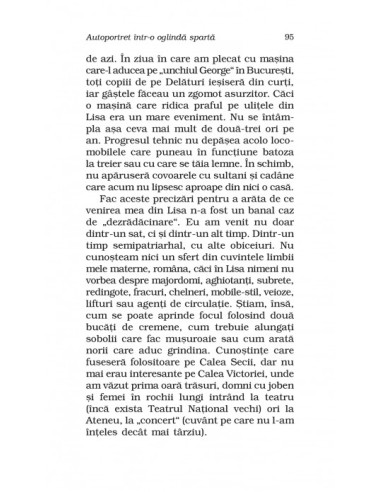 Autoportret într-o oglindă spartă 