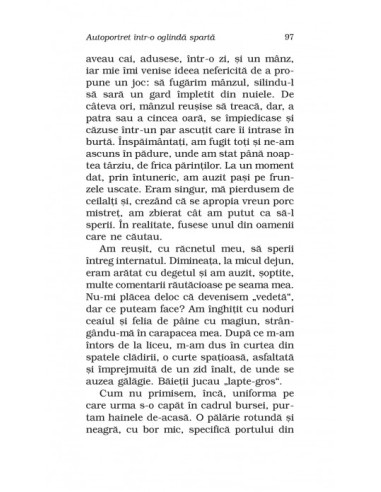 Autoportret într-o oglindă spartă 