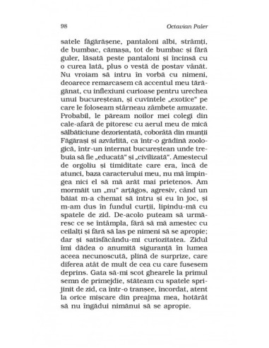 Autoportret într-o oglindă spartă 
