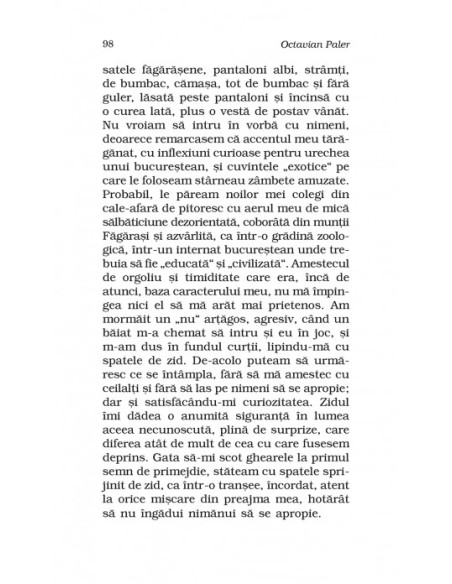 Autoportret într-o oglindă spartă 