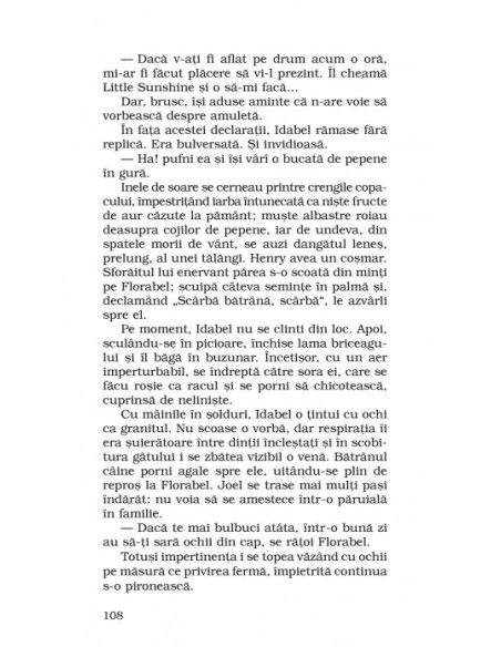 Alte glasuri, alte încăperi (ediţie de buzunar)