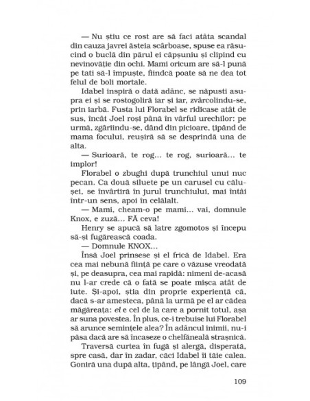 Alte glasuri, alte încăperi (ediţie de buzunar)