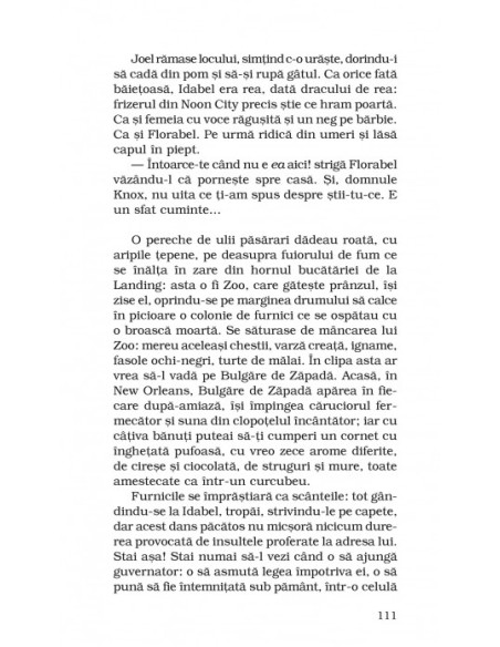 Alte glasuri, alte încăperi (ediţie de buzunar)