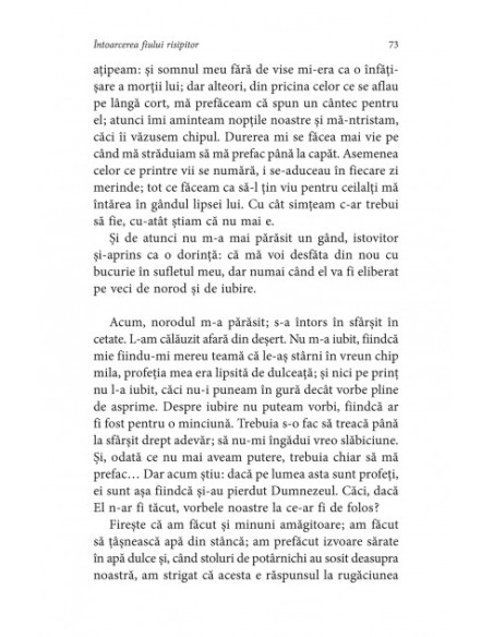 Întoarcerea fiului risipitor