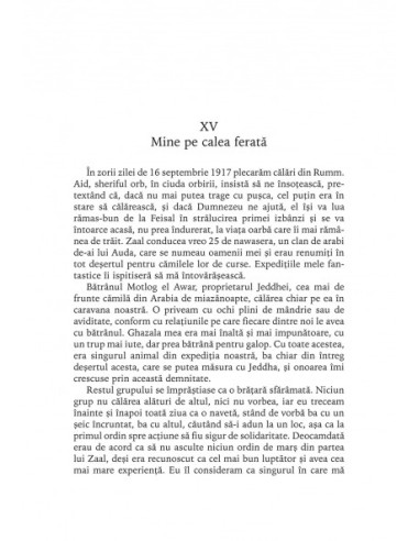 Revoltă în deşert