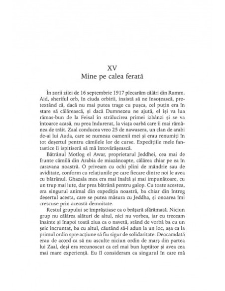 Revoltă în deşert