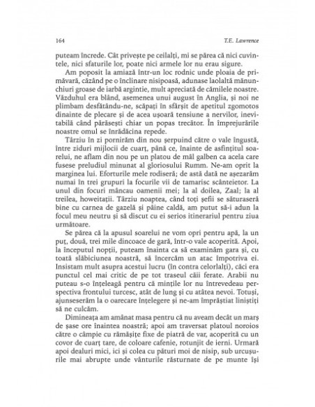 Revoltă în deşert