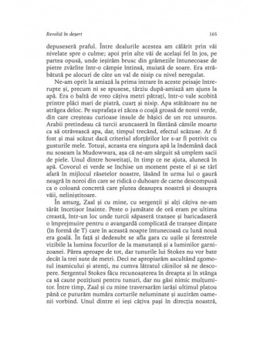 Revoltă în deşert