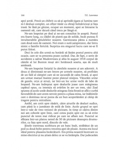 Revoltă în deşert