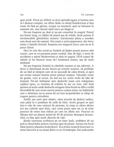 Revoltă în deşert