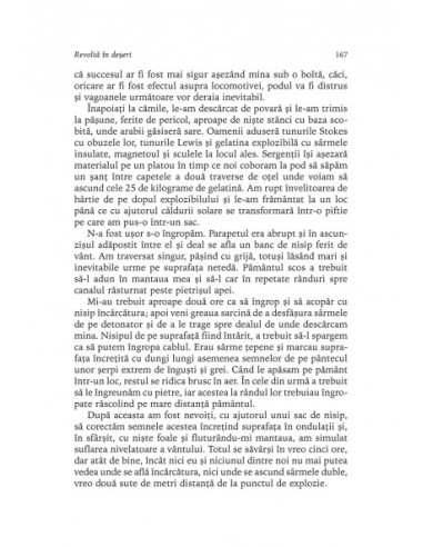 Revoltă în deşert