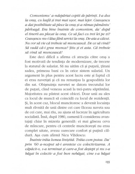 Nici alb, nici negru. Radiografia unui sat românesc, 1948-1998