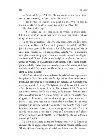 Soţii şi concubine