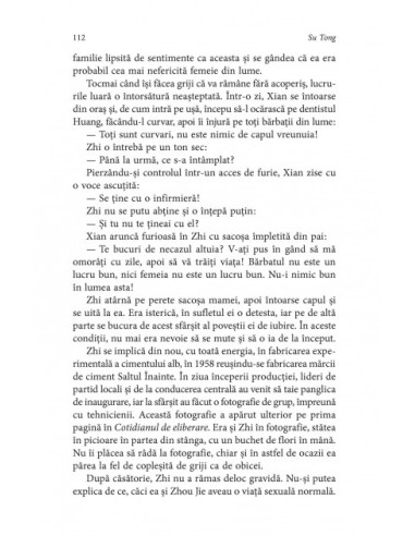 Soţii şi concubine