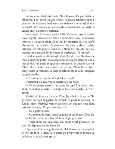 Soţii şi concubine