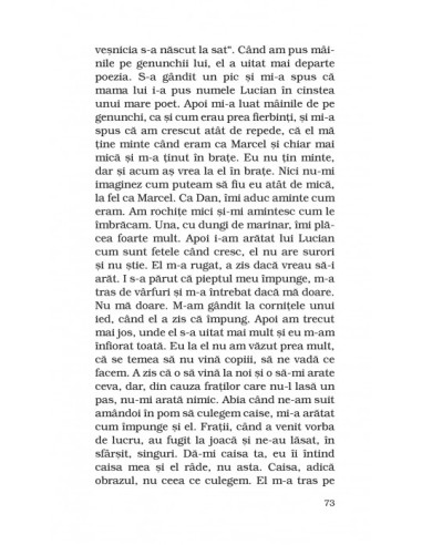 Kinderland Kinderland