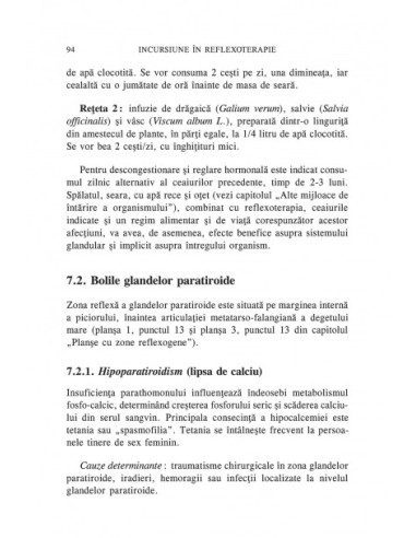 Incursiune în reflexoterapie Incursiune în reflexoterapie