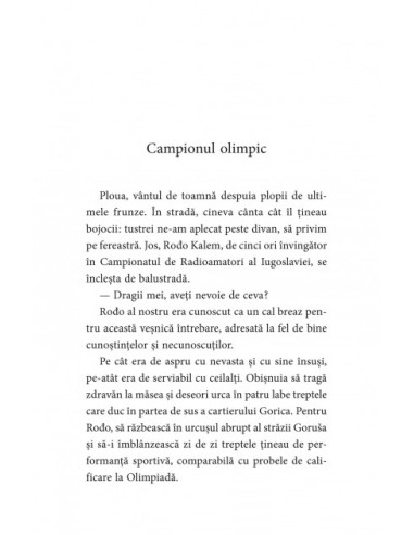 Străin în căsnicie