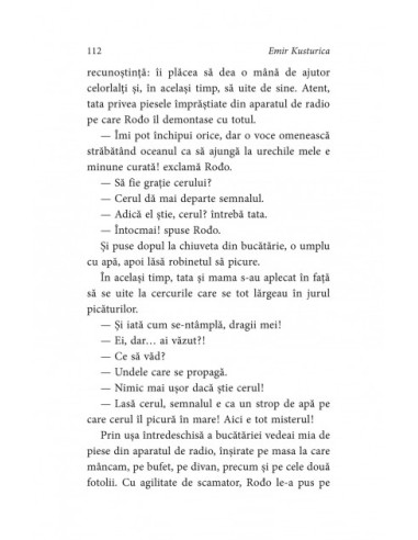 Străin în căsnicie